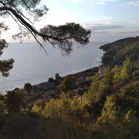 2-bed Maisonette In Pine Forest, 250m From Beach Between Skala Fourka And Siviri * Skála Foúrkas