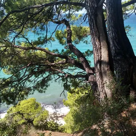 2-bed Maisonette In Pine Forest, 250m From Beach Between Skala Fourka And Siviri *