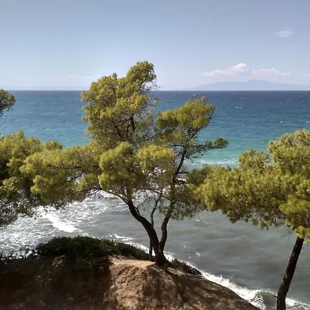 2-bed Maisonette In Pine Forest, 250m From Beach Between Skala Fourka And Siviri *