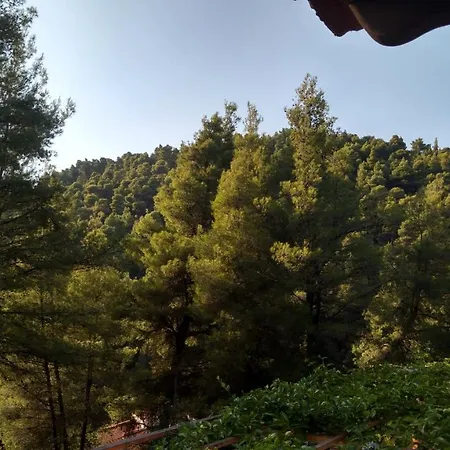 2-bed Maisonette In Pine Forest, 250m From Beach Between Skala Fourka And Siviri بيت للعطل *