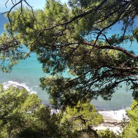بيت للعطل 2-bed Maisonette In Pine Forest, 250m From Beach Between Skala Fourka And Siviri *