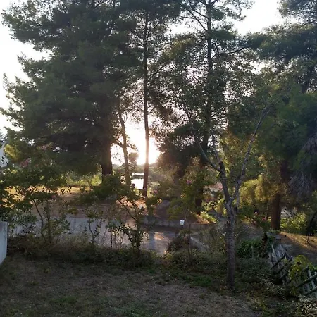 2-bed Maisonette In Pine Forest, 250m From Beach Between Skala Fourka And Siviri بيت للعطل
