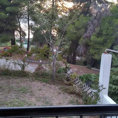 2-bed Maisonette In Pine Forest, 250m From Beach Between Skala Fourka And Siviri * Skála Foúrkas